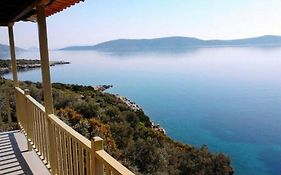 Odyssia Near The Seaside